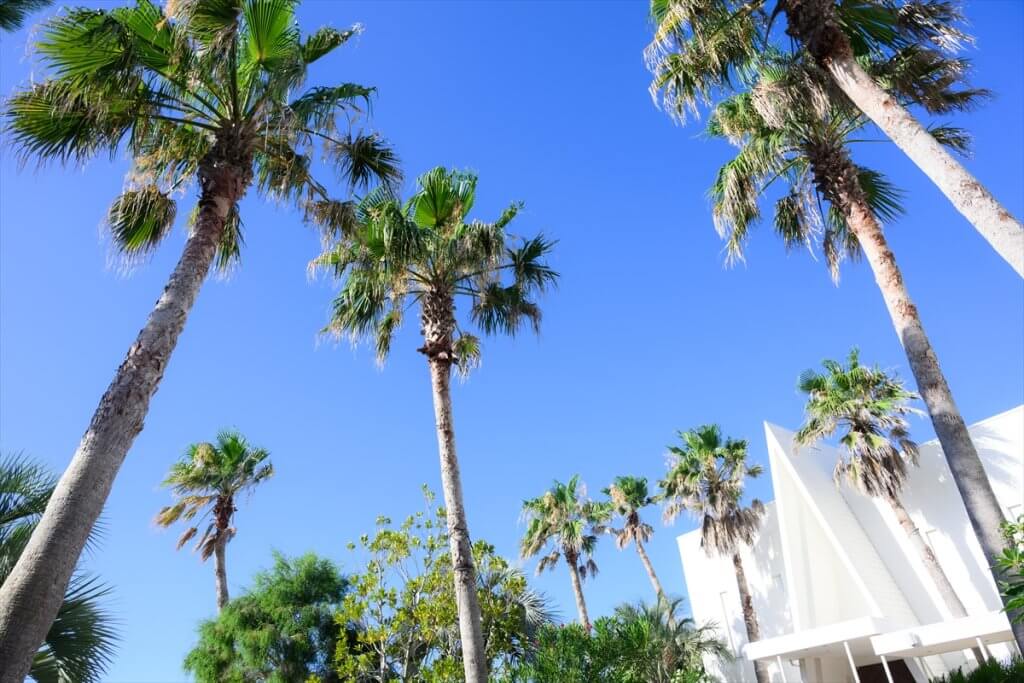 オリゾンブルーのパーティ風景